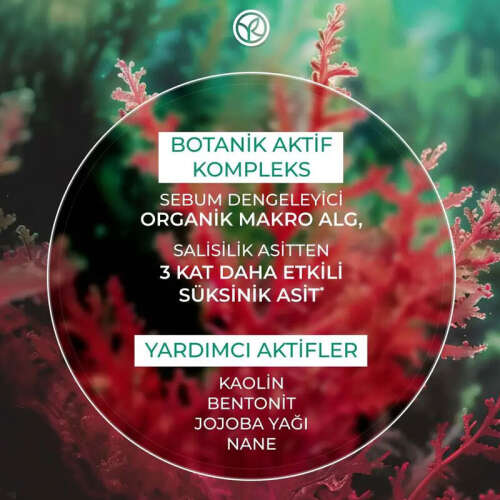 Yves Rocher Sebo Active Clear Arındırıcı Siyah Nokta Karşıtı Kömür Maske 75 ml - 6