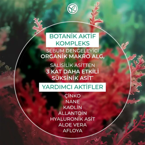 Yves Rocher Sebo Active Clear Arındırıcı Botanik Aktif Kompleks Jel Krem 40 ml - 4