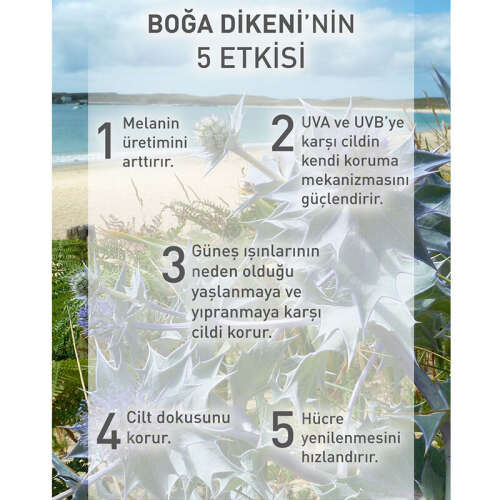 Yves Rocher Solaire Peau Parfaite Spf 50 Yaşlanma Karşıtı Güneş Kremi 40 ml - 9