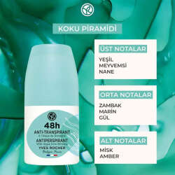 Yves Rocher Unisex Roll-on Antiperspirant Deodorant - Okyanus Algeri 50 ml - 6