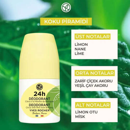 Yves Rocher Unisex Roll-on Deodorant - Organik Nane ve Limon 50 ml - 6