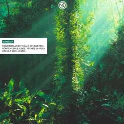 Yves Rocher Vanille Bourbon Egzotik Vanilya Nemlendirici Duş Jeli 400 ml - 9