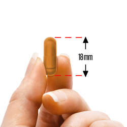Zade Vital Probiyotik Reforma Takviye Edici Gıda 30 Bitkisel Kapsül - 4